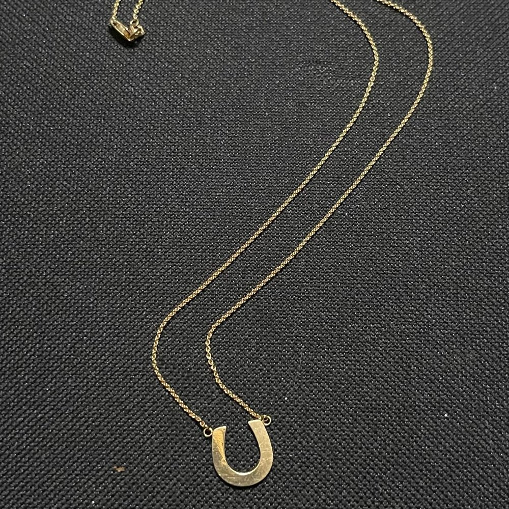 horseshoe necklace